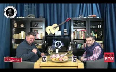 Episodul 16 – Radu Pescar